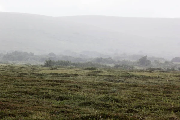 Reggeli köd a völgyben, a rét, haze. — Stock Fotó