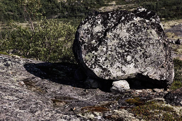 Pedra coberta de musgo no fundo do vale verde . — Fotografia de Stock