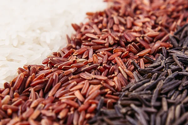 Strisce di riso rosso, bianco e nero primo piano . — Foto Stock