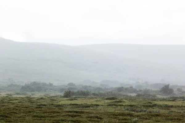 Niebla matutina en el valle del prado, neblina . — Foto de Stock