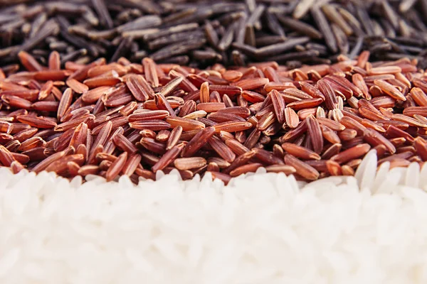 Tiras de arroz rojo, negro y blanco de cerca . — Foto de Stock