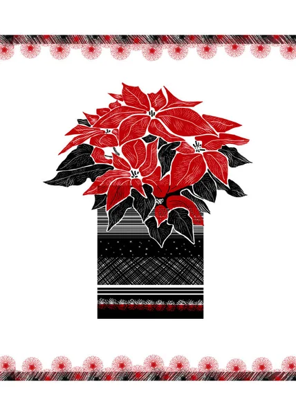 Christmas  greeting card with hand drawn Poinsettia flower and festive ornament on  white background. — Stock Photo, Image