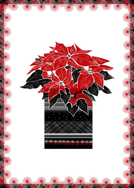 Christmas  greeting card with hand drawn Poinsettia flower and festive ornament on  white background. — Stock Photo, Image