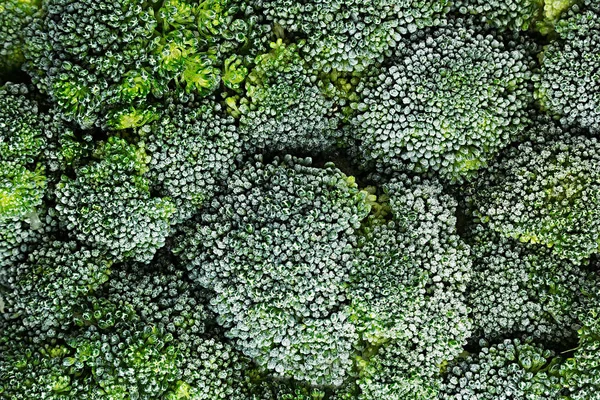 Brócolis verde fresco congelado com geada close-up como fundo . — Fotografia de Stock