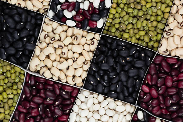 芸豆的背景下，不同种扁豆-红色，黑色，白色，绿豆在广场细胞特写顶视图. — 图库照片