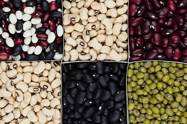 芸豆的背景下，不同种扁豆-红色，黑色，白色，绿豆在广场细胞特写顶视图. — 图库照片