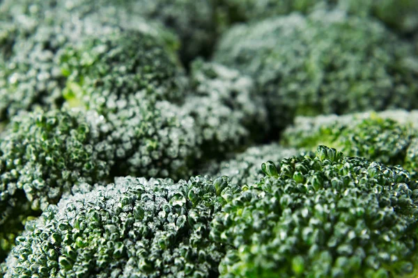 Brócolis verde fresco congelado com geada close-up como fundo . — Fotografia de Stock