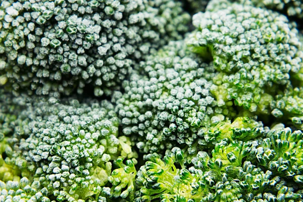 Brócolis verde fresco congelado com geada close-up como fundo . — Fotografia de Stock