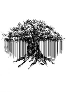 Black silhouette of old banyan tree isolated on white background.  clipart