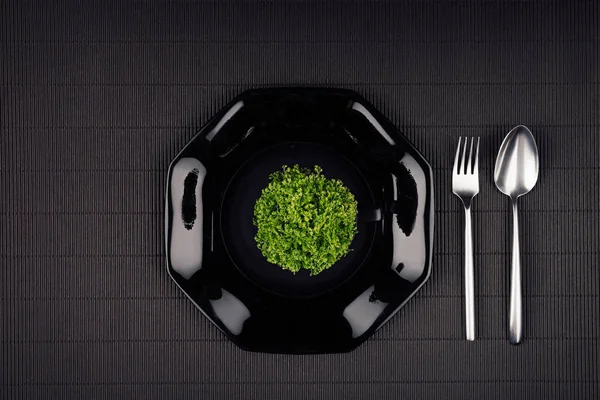 Sötét, modern, minimalista étterem menü modell, akár a fekete fényes lemez, kanalat, villát és zöld növény, felülnézet. — Stock Fotó