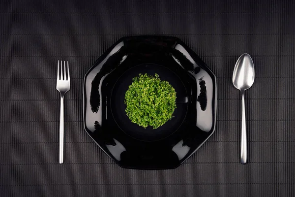 Eco sötét modern minimalista étterem menü ál fel a fekete fényes lemez, kanalat, villát, kupa és zöld növény, felülnézet — Stock Fotó