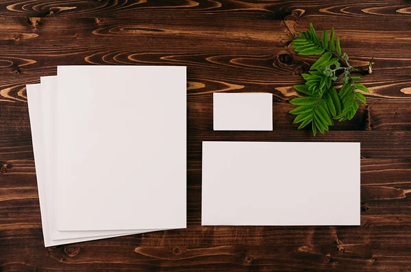 Corporate identity template, stationery with green foliage on vintage brown wooden board. Mock up for branding, graphic designers presentations and portfolios. — Stock Photo, Image