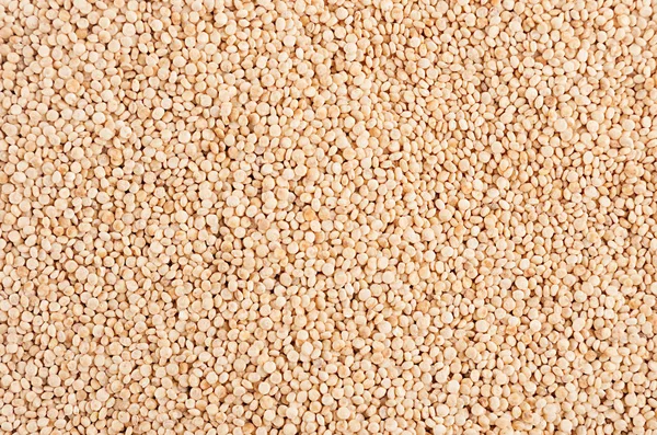 Quinoa-Grütze im Hintergrund. Ansicht von oben, Nahaufnahme. — Stockfoto