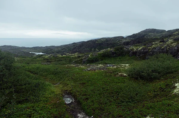 Collines Arctiques Vert Foncé Froides Avec Des Roches Granit Avec — Photo