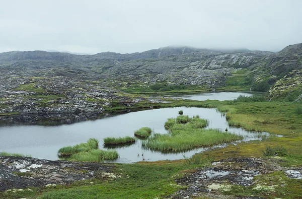 Severas Planícies Sombrias Paisagem Norway Granito Rochas Altas Com Musgo — Fotografia de Stock