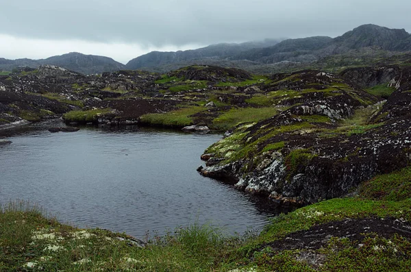 북극의 화강암 이끼와 어두운 호수와 내리는 — 스톡 사진