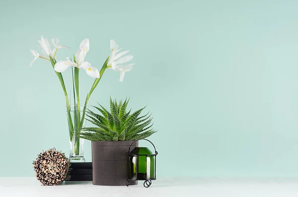 Decorazione Domestica Fresca Con Aloe Verde Candeliere Libri Neri Fiori — Foto Stock