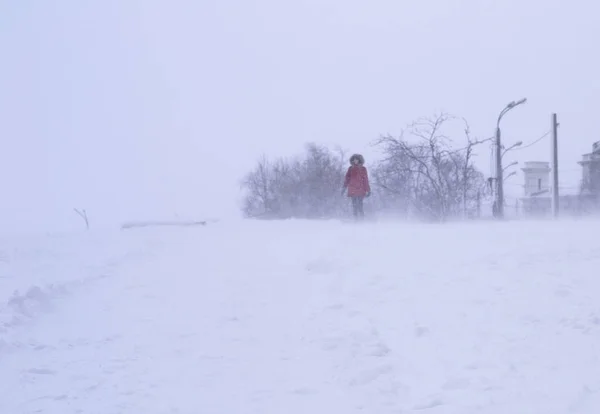 Mujer en chaqueta con capucha roja luchando a través de nieve blizzar invierno — Foto de Stock