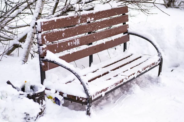 Invierno en el parque donde bancos cubiertos de nieve — Foto de Stock