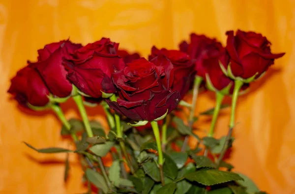 Strauß Rosen auf orangefarbenem Hintergrund — Stockfoto