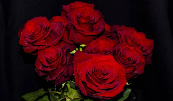 Rote Rosen Strauß auf schwarzem Hintergrund — Stockfoto