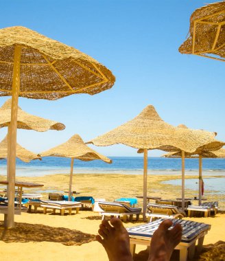 Mısırda unutulmaz bir meslek