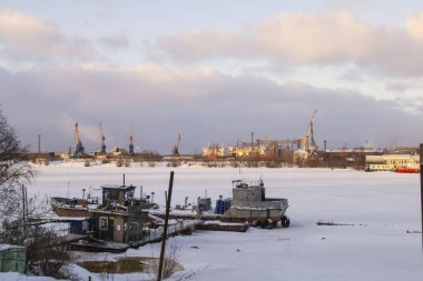 Kışın limanda deniz turnaları 