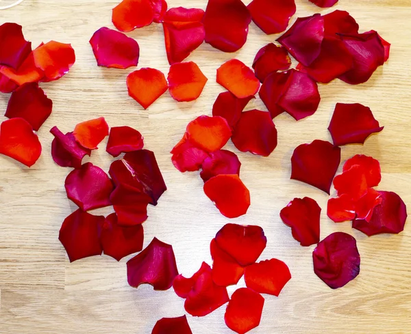 Rose Petals on wooden background