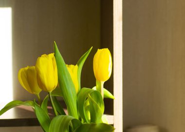 Güneşli bir günde pencerenin önündeki odada laleler.