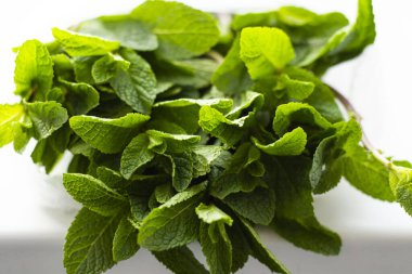 Pencere pervazında taze nane şekeri.