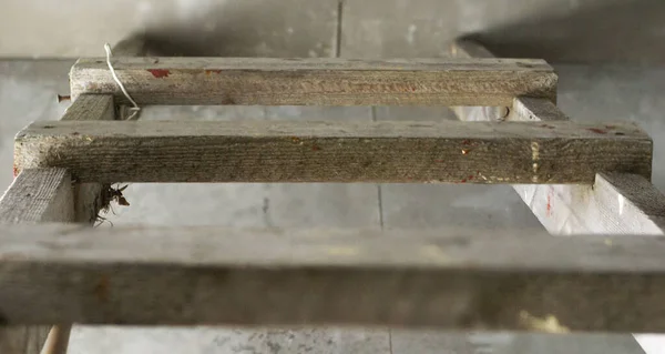 灰色の古い木造素朴な階段 下からの眺め — ストック写真
