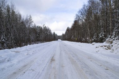 Kış ormanında karlı bir yol. Güneşli açık bir gün. Rusya Arkhangelsk Bölgesi Kuzeyin Doğası