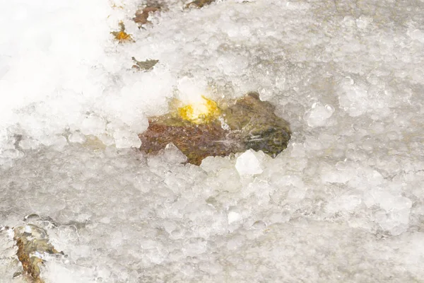 Αλλαγές Του Καιρού Σταγόνες Από Παγοκρύσταλλοι Στάζει Στο Χιόνι — Φωτογραφία Αρχείου