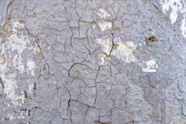 Sadece fırından çıkan süzme peynirli yaban mersinli turta. Kızarmış kabuklu. yakın plan