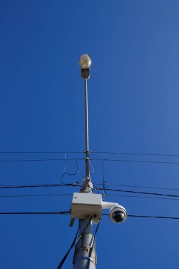 Sadece fırından çıkan süzme peynirli yaban mersinli turta. Kızarmış kabuklu. yakın plan