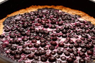 Sadece fırından çıkan süzme peynirli yaban mersinli turta. Kızarmış kabuklu. yakın plan