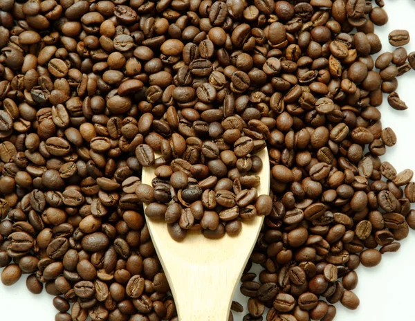 Kávébab Egy Spatulán Fehér Háttér Közelkép Felülnézet — Stock Fotó