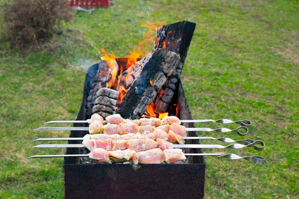 Sprinkle Fresh Meat Seasoning Strung Grill Skewers Outdoor Activities Weekends — Stock Photo, Image