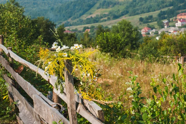 野生の花から放牧 fence.hedge.wreath — ストック写真