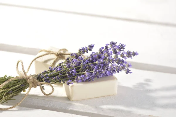 fresh flower. cultivated flower.fragrant flower.lavender flower