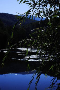 Gökyüzü olan orman ve dağ