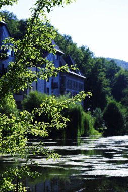 yeşil orman ve nehirler