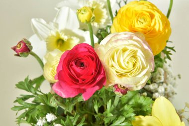 Güzel, parlak bir çiçek, düğün çiçeğidir.