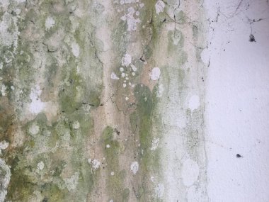 Tasarım için beton desen duvar arkaplanı