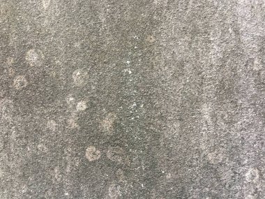 Arkaplan için kirli beton duvar dokusu ve tasarım için kopya alanı