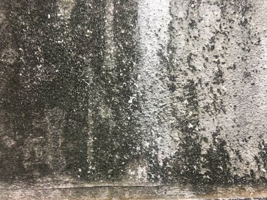 Arkaplan için kirli beton duvar dokusu ve tasarım için kopya alanı