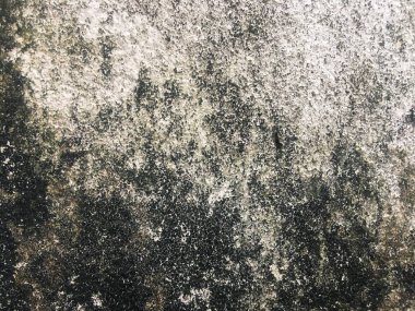 Kopyalama alanı için beyaz duvar dokusu arkaplanı