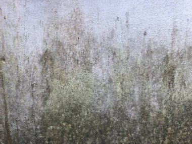 Arkaplan için eski somut doku