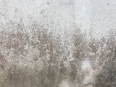 Kopyalama alanı için beyaz duvar dokusu arkaplanı