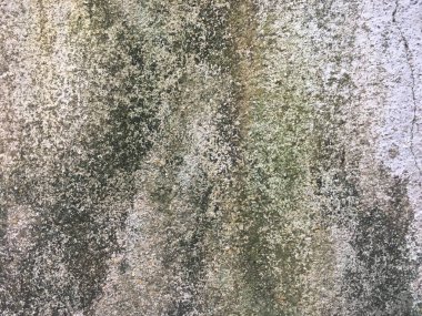 Tasarım için kopya alanı ile birlikte malzeme grungy duvar dokusu arkaplanı